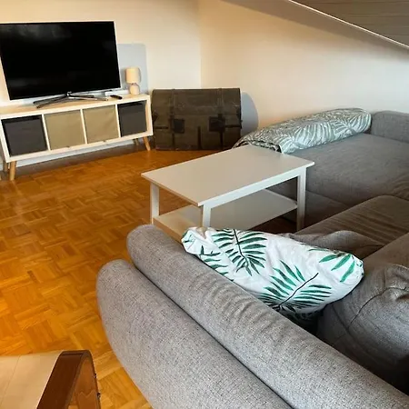 Voll Ausgestattete Mit Suedbalkon Familien- & Hundefreundlich Bad Waldsee